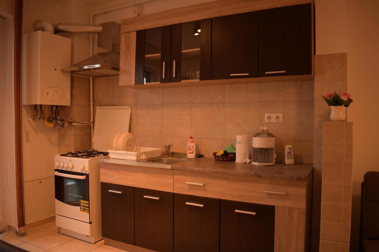 Apartament Alexandru Apartment Sibiu Exterior photo